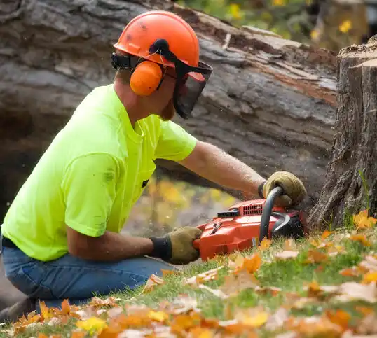 tree services Kasota